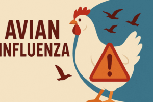 "조류독감의 경고: H5N1과 H7N9, 인간과 동물의 경계를 넘나드는 위험" 7